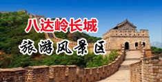 videoshd白虎中国北京-八达岭长城旅游风景区