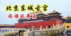 男人用jj捅女人在线免费观看不卡中国北京-东城古宫旅游风景区