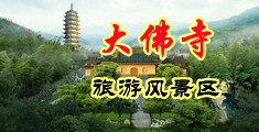 我要日我要操我要干中国浙江-新昌大佛寺旅游风景区